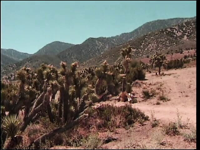 Horny busty slut gets pussy fucked by muscular stud in the great outdoors