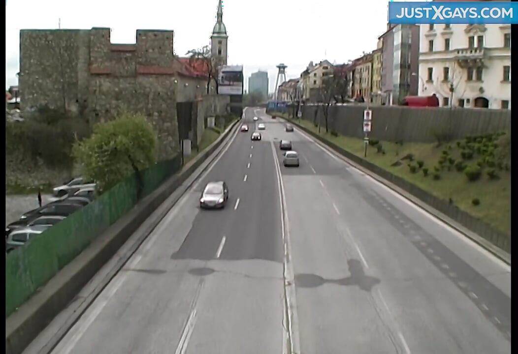 Gayové anales šukají na pejsku