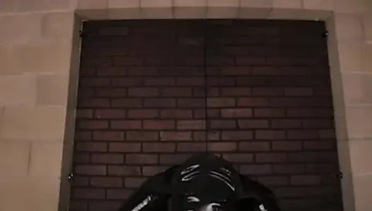 VRCosplayx Kylie Rocket в качестве женщина-кошка проведет вас через тайну сексуального удовольствия, часть 1