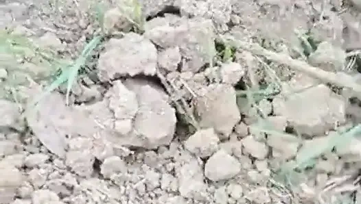 Desi mädchen Minakshi