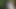 Surprise fuck in the woods