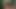 Kurzhaariges Ale!