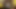 Zincirli testereli adam hentai - kobeni bir yarağı sikiyor