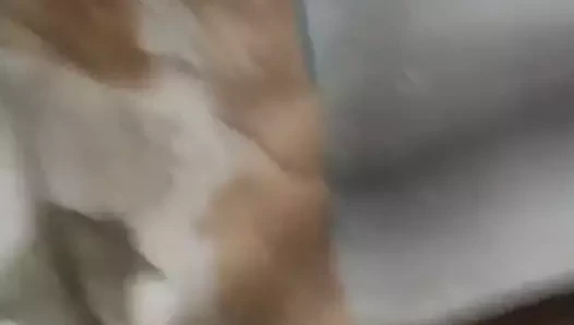 Ben gerçek eğleniyorum