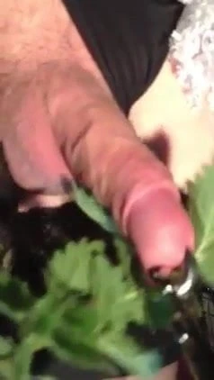 荨麻玩