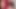 sissy soft cock handsfree accidentally cumshot, nipple play
