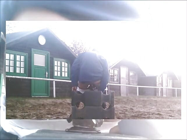 Dildo on the riding pad
