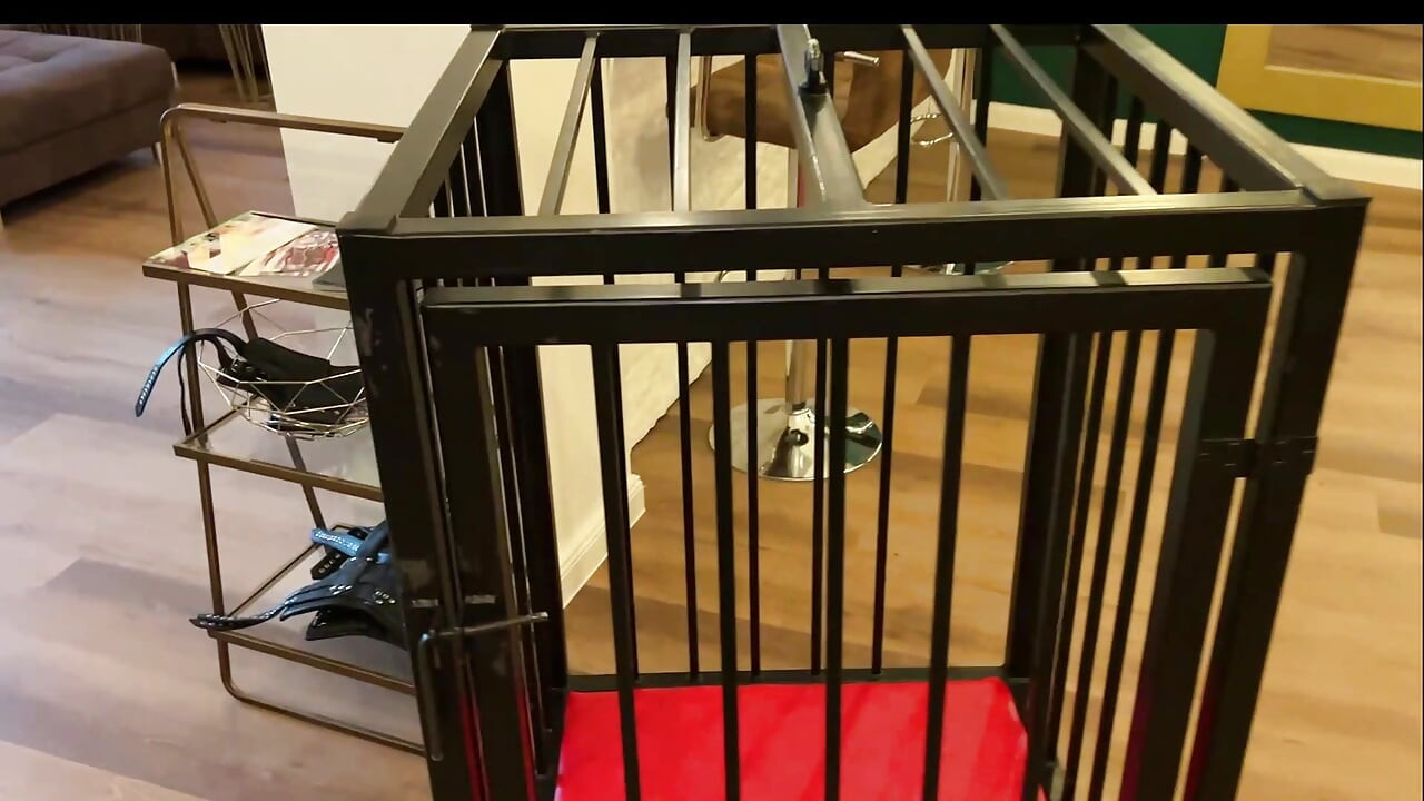 Hot Fetish Session with Dominant Babes and Submissive Stud