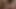 Shower dildo fucking onlyfans leaks