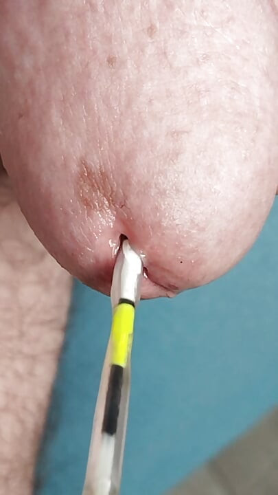 plutati