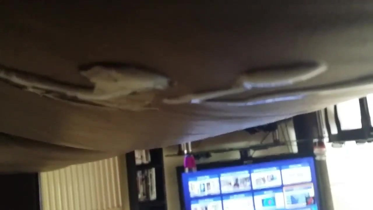 cumshot in the morning.