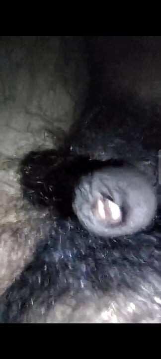 My dick is hungry for pussy