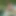 Siyah kaltak siyah canavar yarağa tapıyor (tam porno film)