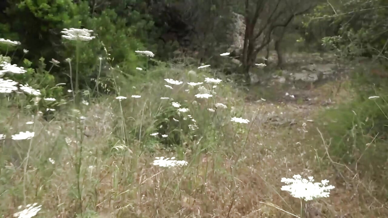 Μελαχρινό μωρό πιπώνει σκληρό πούτσο σε εξωτερικό χώρο