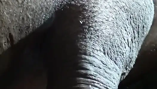 Kız kardeşimle evde oynuyorum