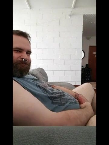 Bearded bear cums