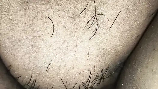 Bengalische Krawattenlecken