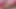 Horny Tgirl bitch worldcup sluts hardcore wet and messy fuck Ai Generated