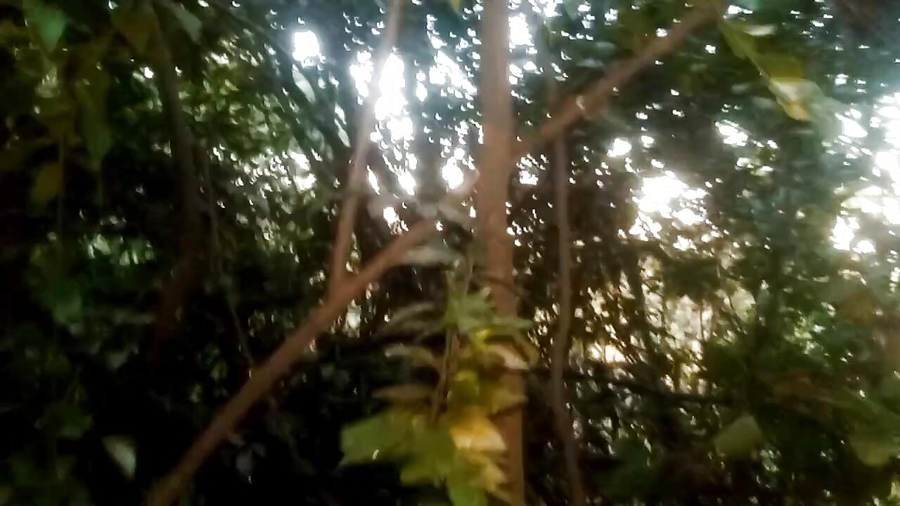 Ereksi panjang