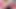 Sissy gets caught by stepbrother  - Dildo Blowjob Roleplay (Preview)
