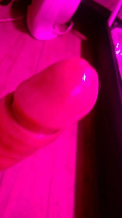 Pene bien lubricado