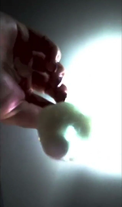 Only True Sissy Eat Cum From Used Condoms Prove Yourself Now