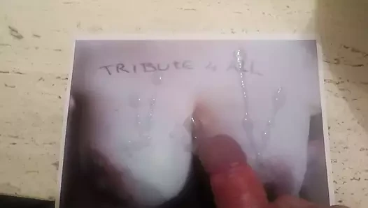 loll50'ye saygı duruşu