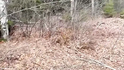 Pee Sexy on the Forest so Cool