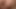 ポルノオタク:ボニーのフェラチオ