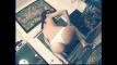 Pregled videozapisa