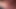 成熟したクイーンが膣とお尻を広げられる