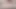 Morning blowjob for a subscriber from instagram Andre Love
