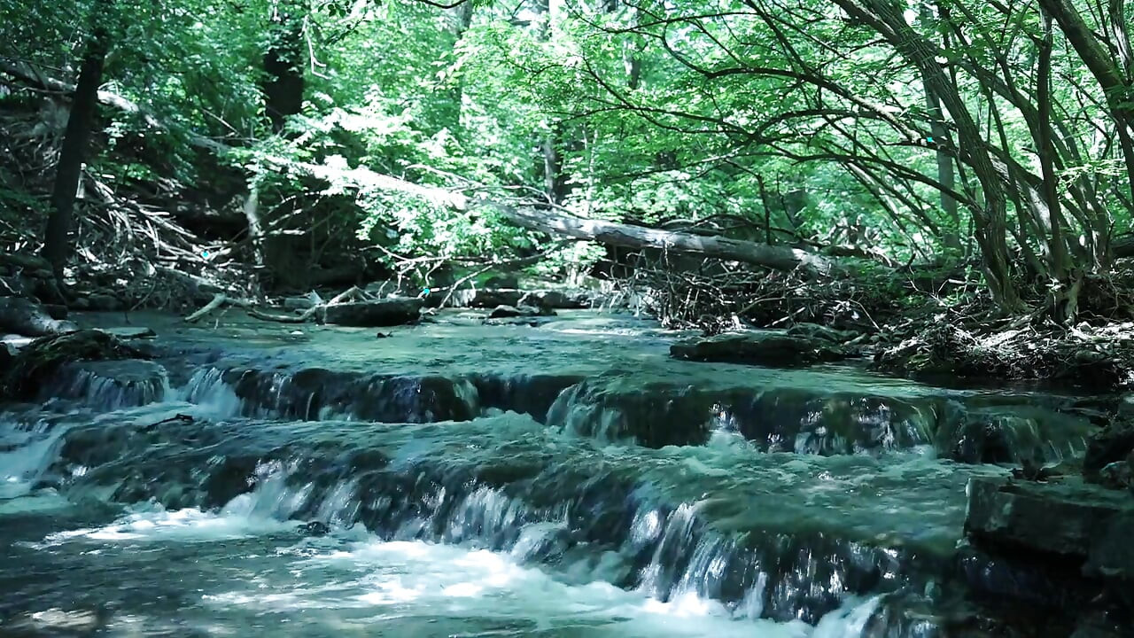 Flexing by the Waterfall, Trying to Sneak a Little Private Moment