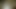 Masturbation pennis
