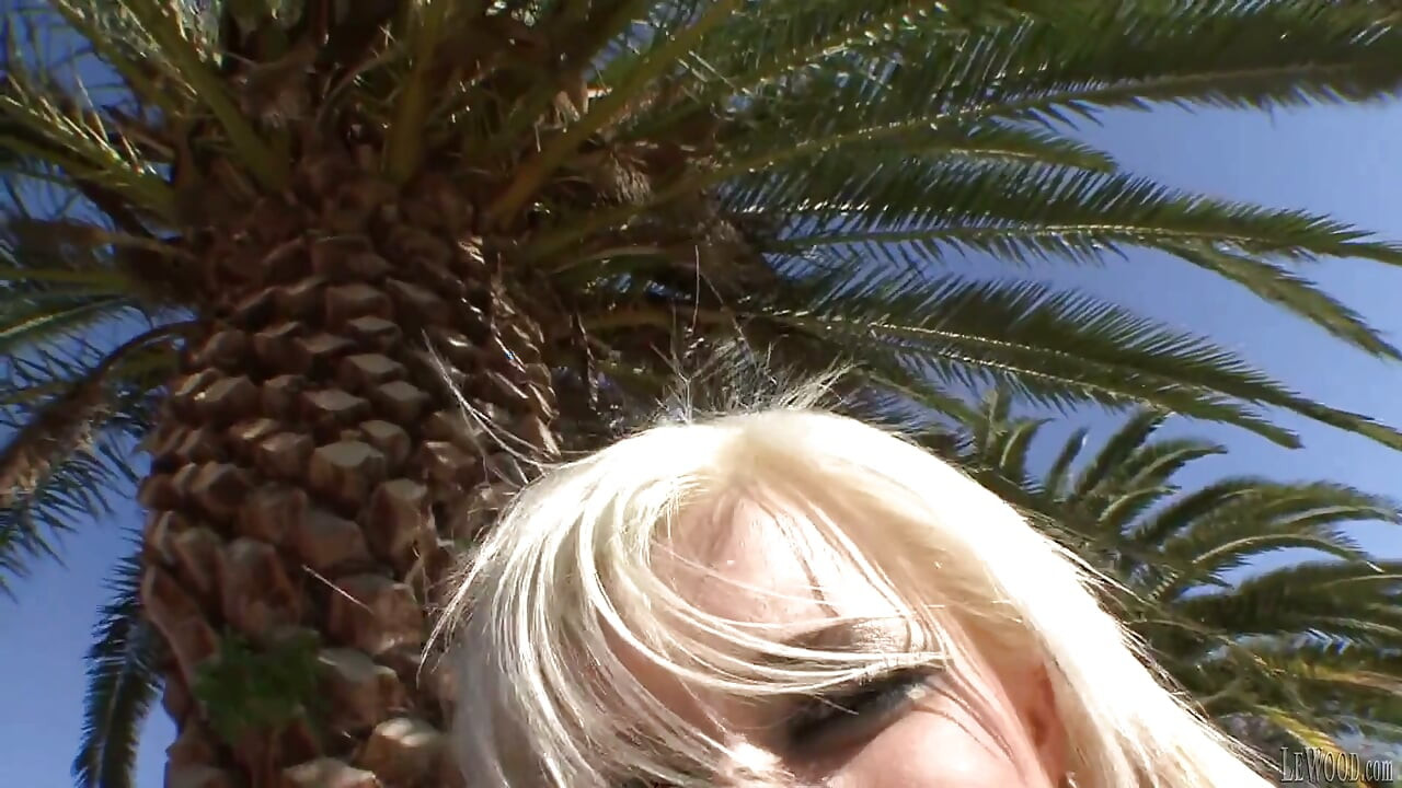 Andi Anderson Shows Her Tits and a Good Time