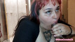 Pregled videozapisa