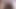 子犬を紛失しましたか？フルクリップ：Dominaelara.Com