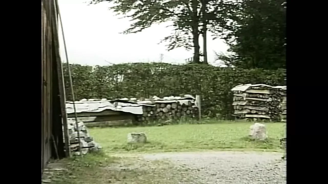 heidi im wald und auf der heid 2