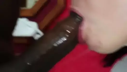 Brazilian wife loves sucking big black dick