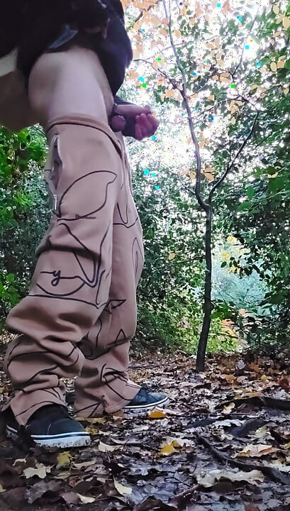 Парк - 1 градус