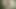 Backyard Interracial Blowjobs