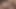 174 Straight boy curious fucked and fucking trans latina big cock trans