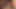 Ladyboy Jerkoff Gangbang