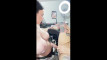Pregled videozapisa