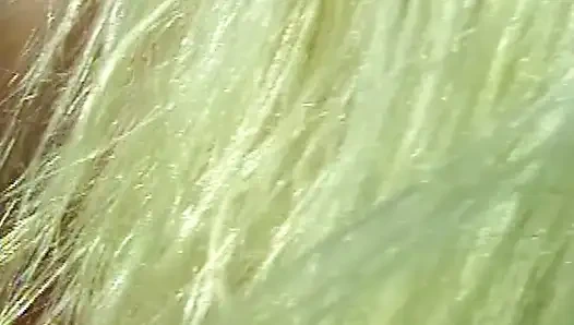 Heiße Poolside Leidenschaft