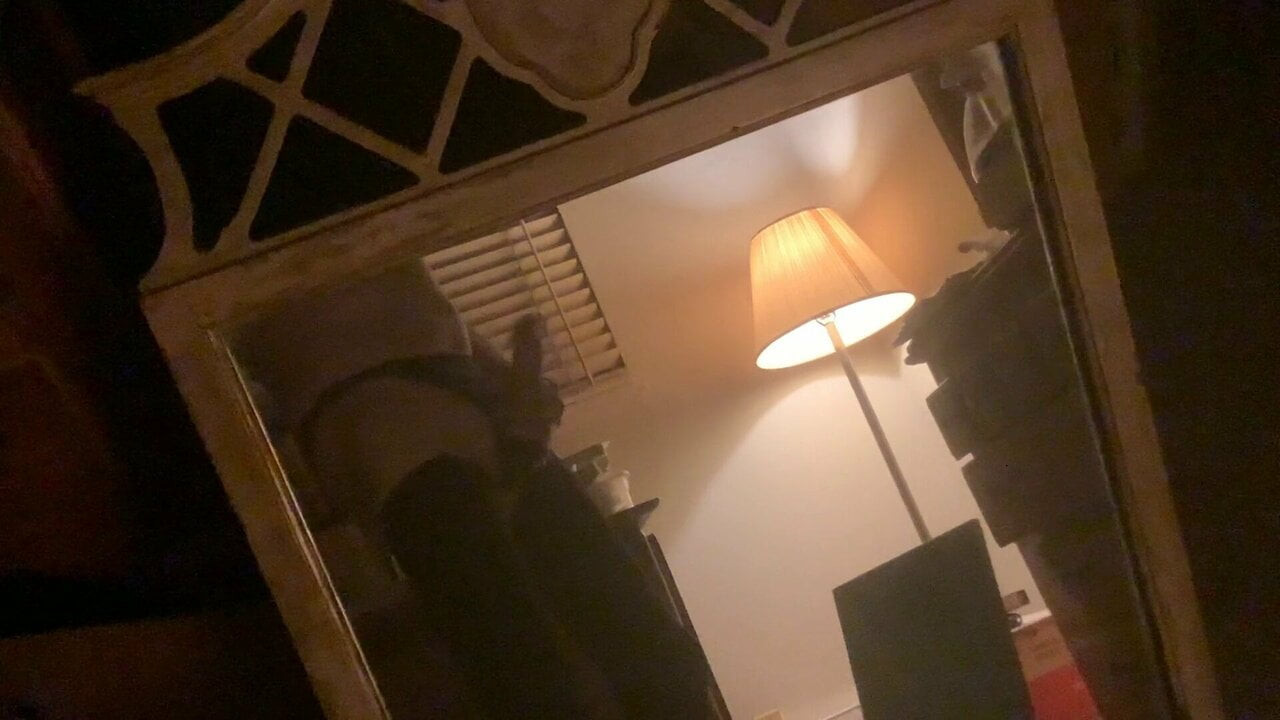 Fun