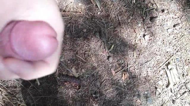 Im wald wixxen