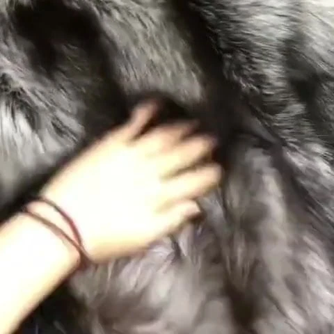 My new coat