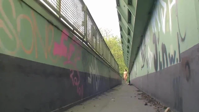 On the Bridge
