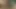 Jerking my stiff daddy cock heavy breathing hands free cum